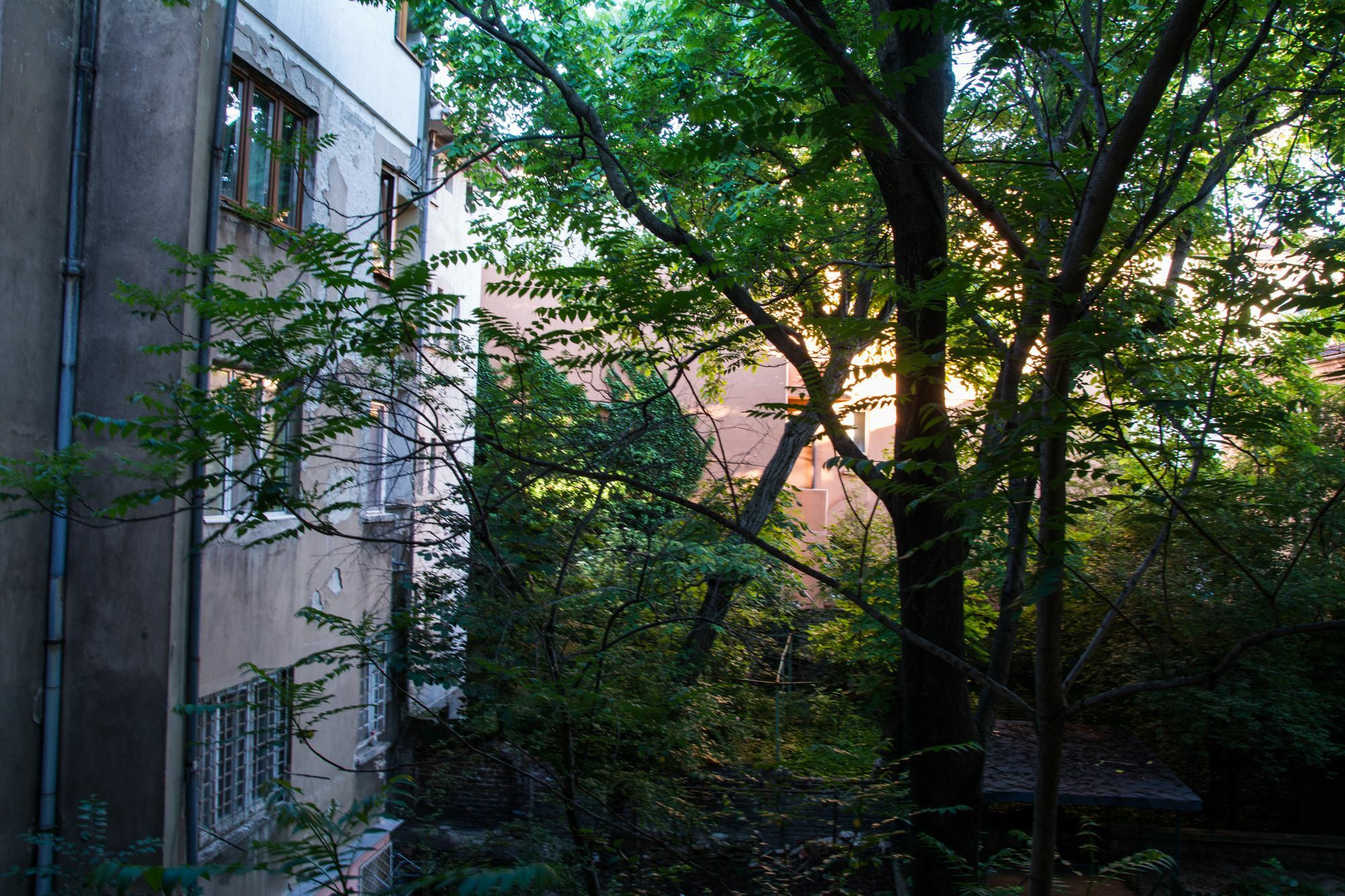 Peter Pan Hostel София Екстериор снимка